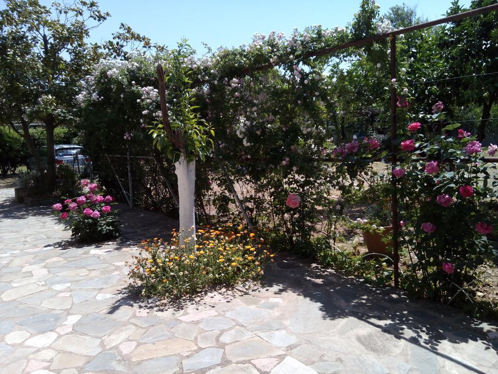 Apartment Akrogiali