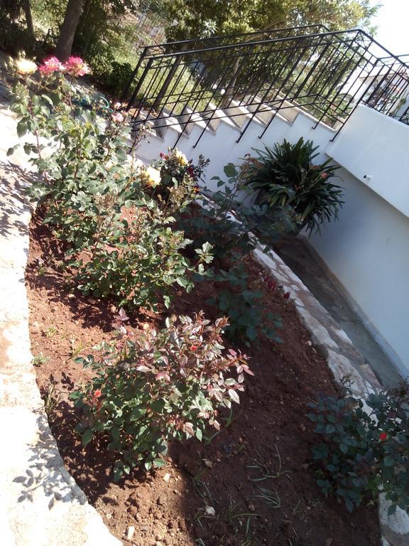 Akrogiali Apartment *